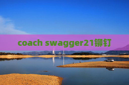 coach swagger21铆钉